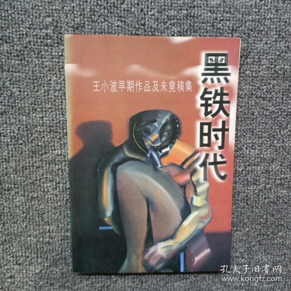 黑铁时代：王小波早期作品及未竟稿集