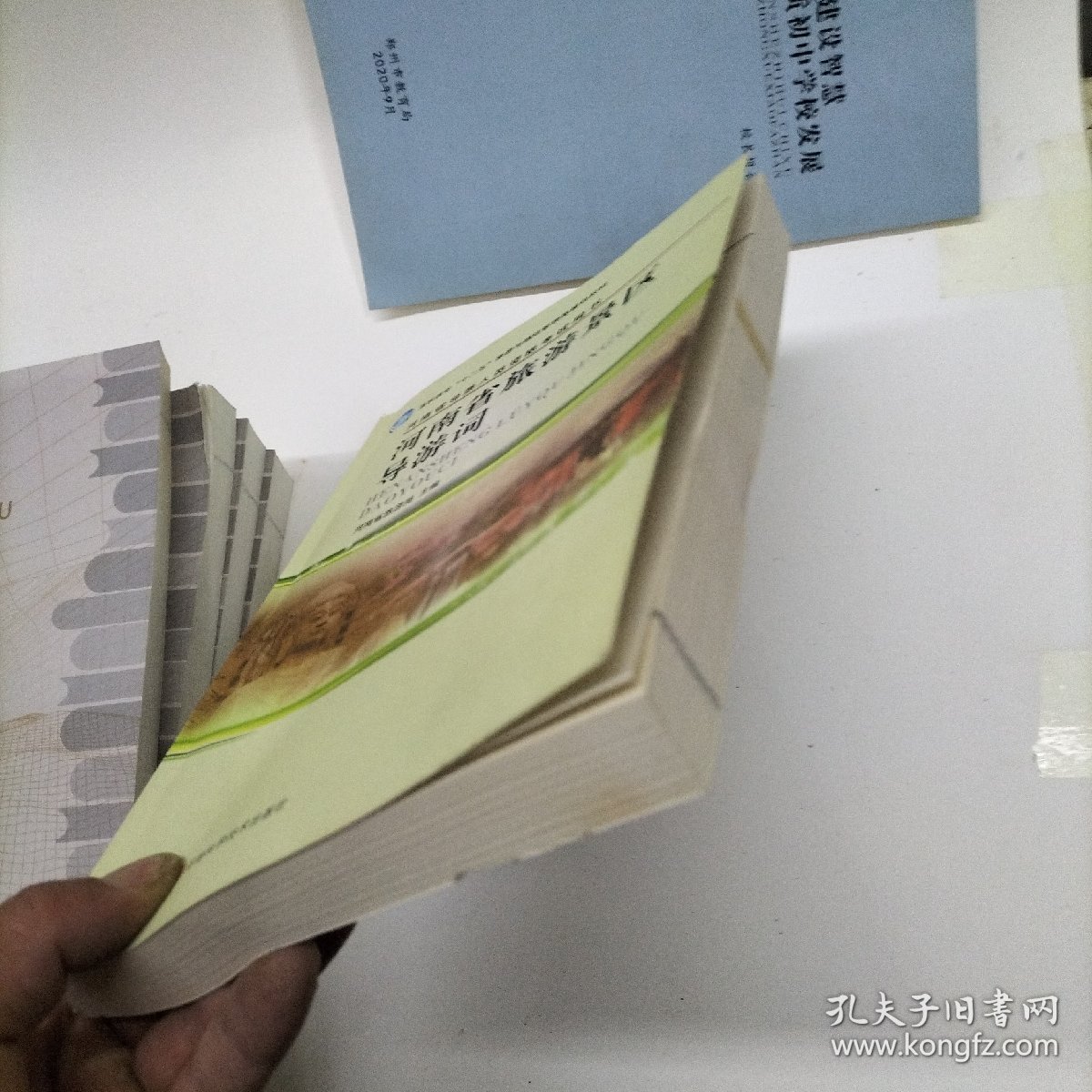 河南省旅游景区导游词影印