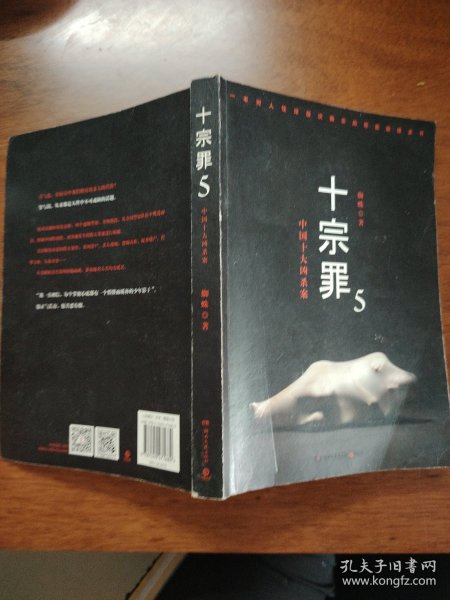 十宗罪5：中国十大凶杀案