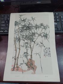 国画《金丝竹》程十发作 长37cm 宽26cm