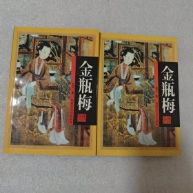 金瓶梅传奇 上下