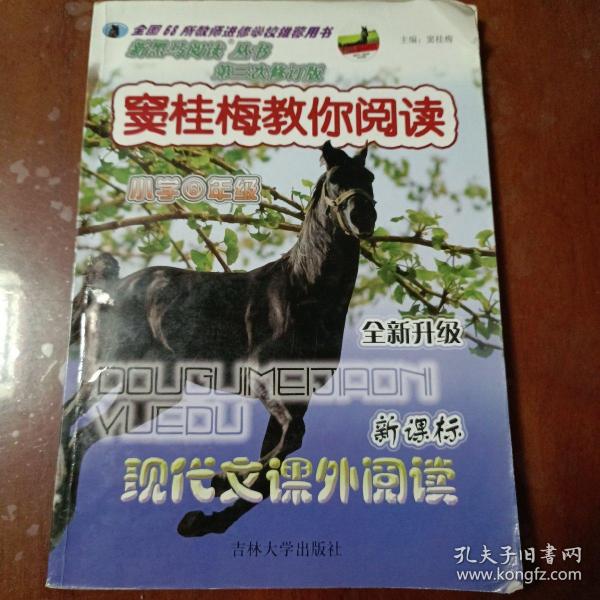 新黑马阅读丛书·窦桂梅教你阅读：现代文课外阅读（小学6年级 新课标 全新升级 第四次修订版）