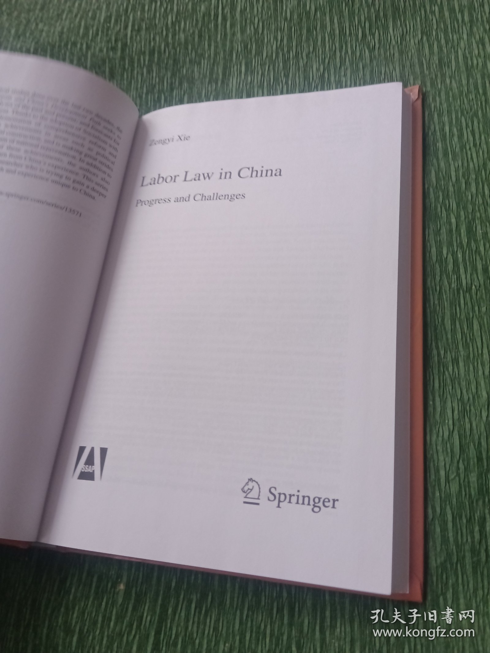 Labor Law in China