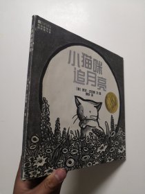 小猫咪追月亮