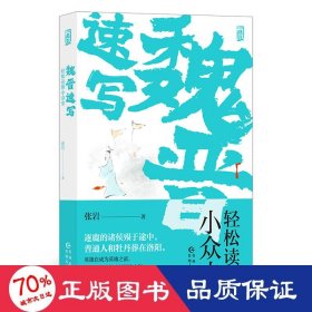 魏晋速写：轻松读懂小众史 中国历史 张岩