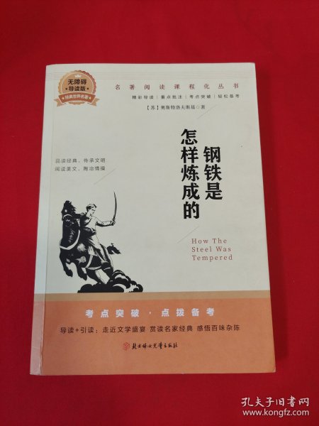 语文新课程标准必读（青少版）：钢铁是怎样炼成的