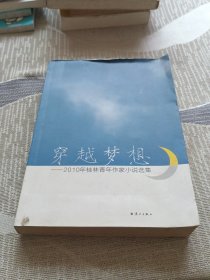 穿越梦想 : 2010年桂林青年作家小说选集