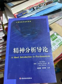 精神分析导论：心理咨询与治疗系列