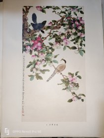 沙果丰收--俞致贞(1979年印刷的8开老画一张)