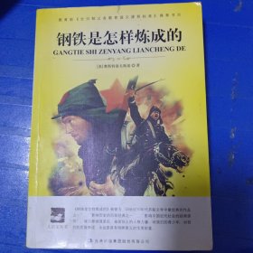 名师审定版 大语文 钢铁是怎样炼成的