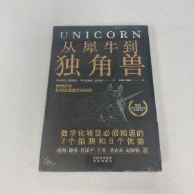 从犀牛到独角兽：传统企业如何实现数字化转型秦朔、滕泰、任泽平、于洋、易欢欢、赵国栋倾力推荐