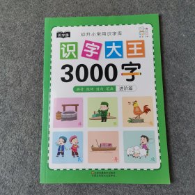 幼儿学前识字大王3000字全套6册 幼小衔接一日一练全套识字教材 幼儿园大班中班小班一年级3-4-5-6岁幼升小看图识字神器儿童启蒙早教认字书