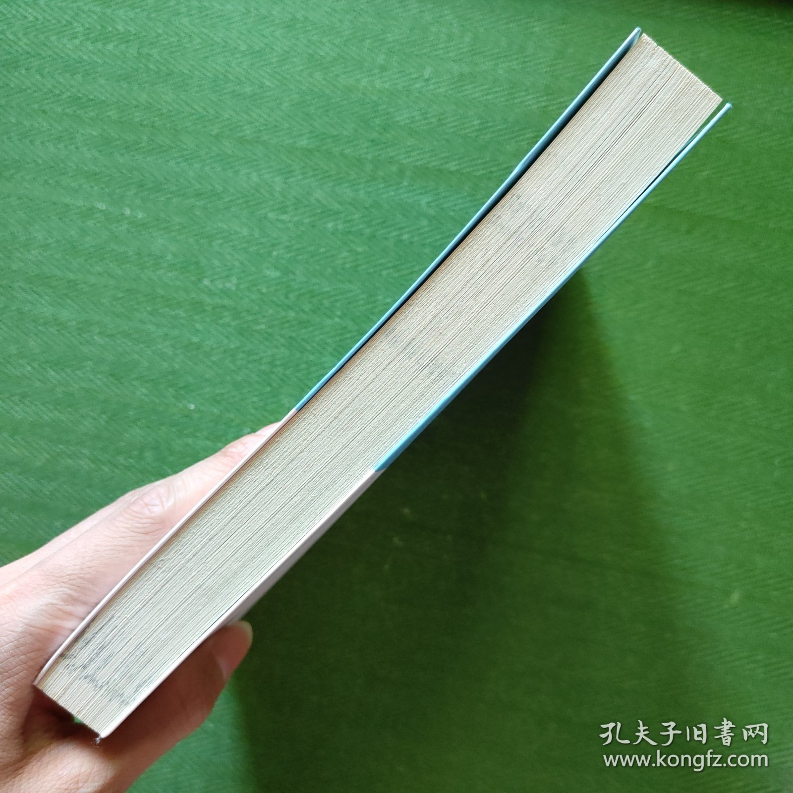 丰子恺儿童文学全集·给我的孩子们·漫画插图版