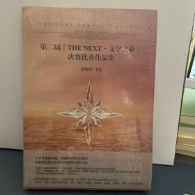 第二届“THE NEXT·文学之新”决赛优秀作品集