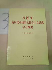 习近平新时代中国特色社会主义思想学习纲要。