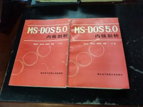 MS-DOS5.0内核剖析（中下，两册合售）（正版现货，内页无字迹划线）