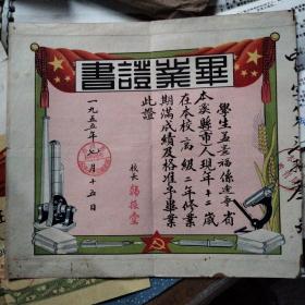 55年毕业证书(C18)