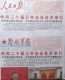 报纸《人民日报》《解放军报》两份报纸2024年7月19