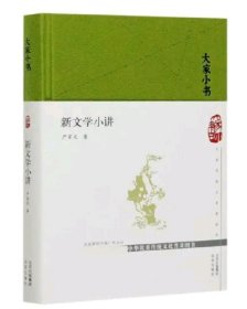 大家小书 新文学小讲（精）