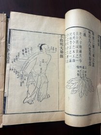 中医古籍同治元年刻少见《医学指归》上下卷两册一套全拍记有掉落如图品相绝佳