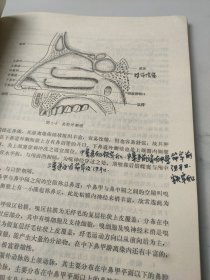 五官科