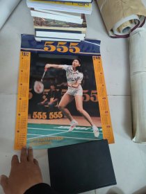 1991年555世界羽毛球赛冠军宣传画