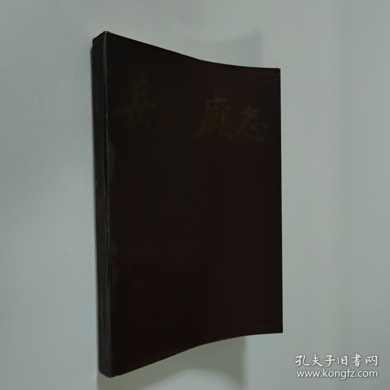 岳飞庙志 大32开 平装本