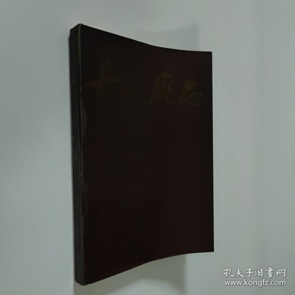 岳飞庙志 大32开 平装本