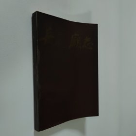 岳飞庙志 大32开 平装本