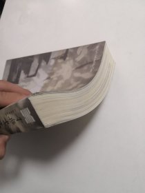 石鲁的时代与艺术