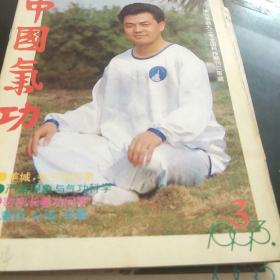 中国气功杂志(93年第3期，3袋上)