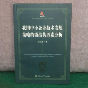 我国中小企业技术发展策略的微结构因素分析