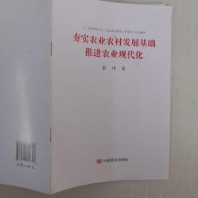 夯实农业农村发展基础推进农业现代化