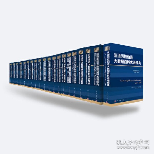 大数据百科术语辞典汉外对照系列丛书（套装共20册）