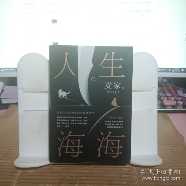 麦家：人生海海（茅盾文学奖得主麦家2019年强力之作）