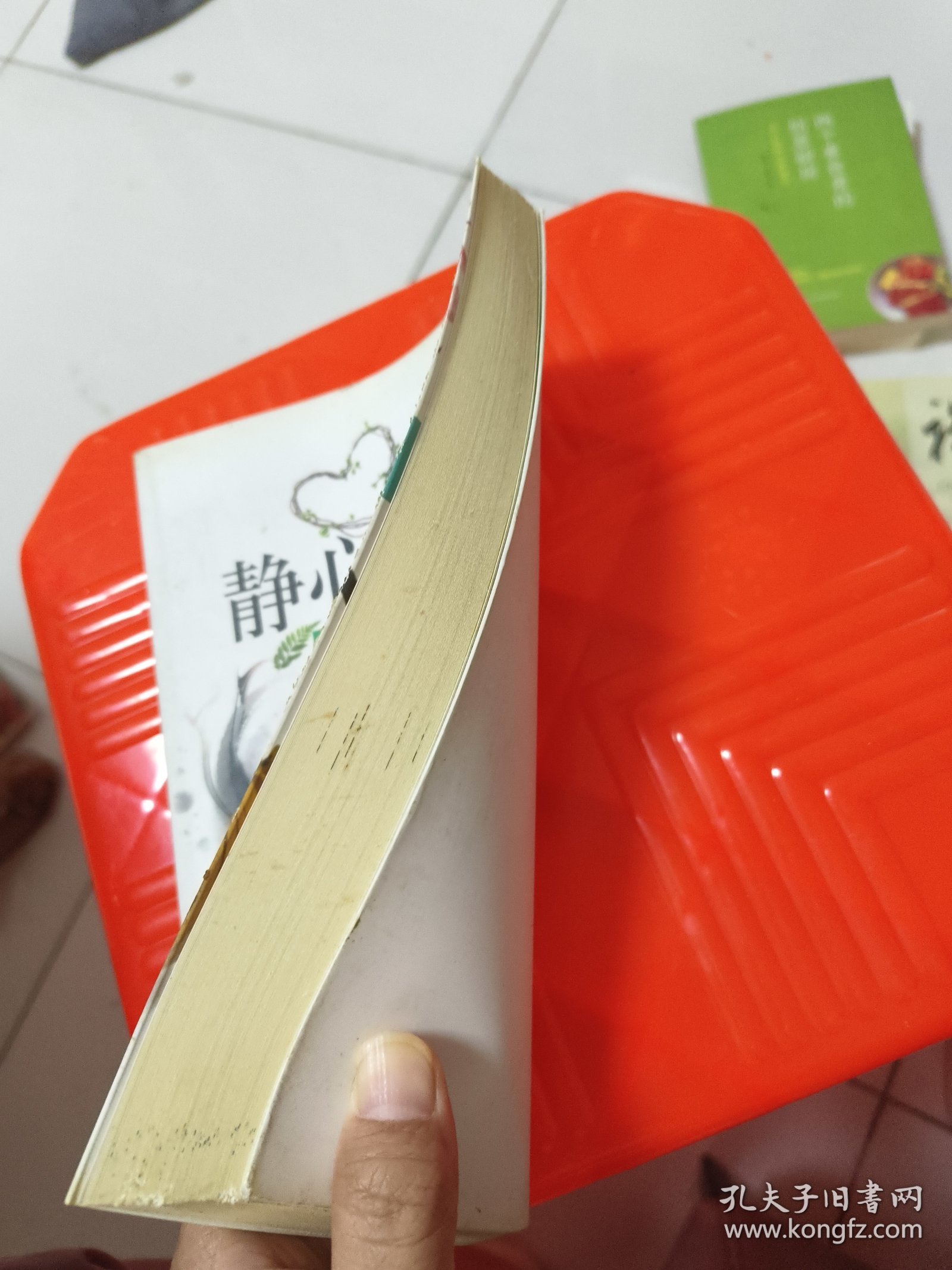 静心爱自己：心理健康读本