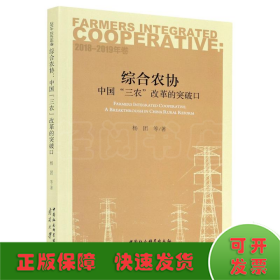 综合农协：中国“三农”改革的突破口（2018—2019年卷）