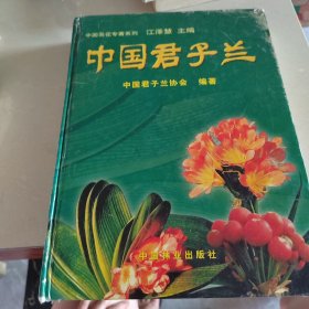 中国君子兰