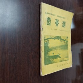 旧书 英汉对照·世界名著《茵梦湖》施笃姆著