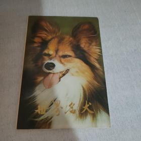 世界名犬明信片