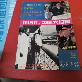 1989中国大扫黄