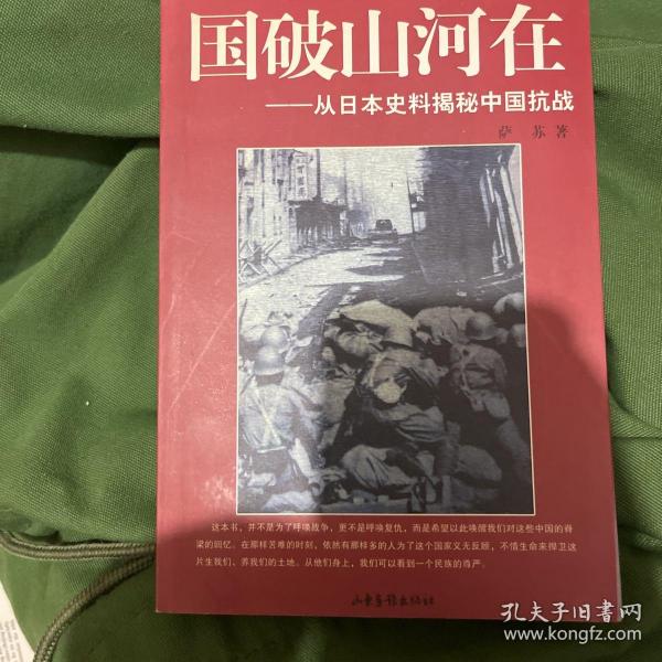 国破山河在：从日本史料揭秘中国抗战