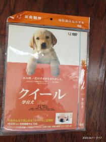 全新未拆封DVD电影《导盲犬》导演:崔阳，主演:晓琳薰，椎名桔平，香川照之，