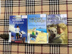【英文】【儿童读物】Kensuke's Kingdom + Little Manfred + The Butterfly Lion（插画本） 3本合售 品相自鉴