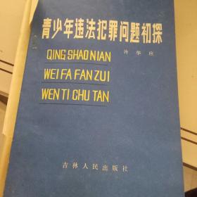 青少年违法犯罪问题初探