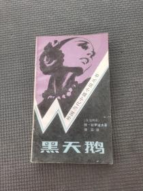 外国当代中篇小说丛书黑天鹅