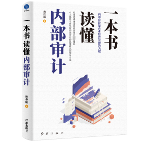 一本书读懂审计 审计 孙伟航