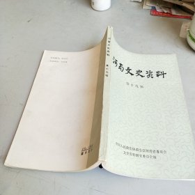 河南文史资料 （第十九辑）