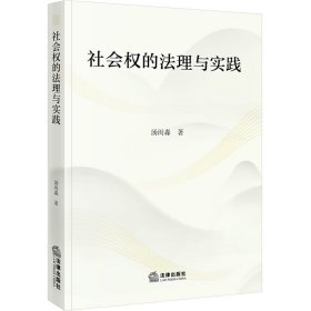 正版 社会权的法理与实践 汤闳淼 法律出版社