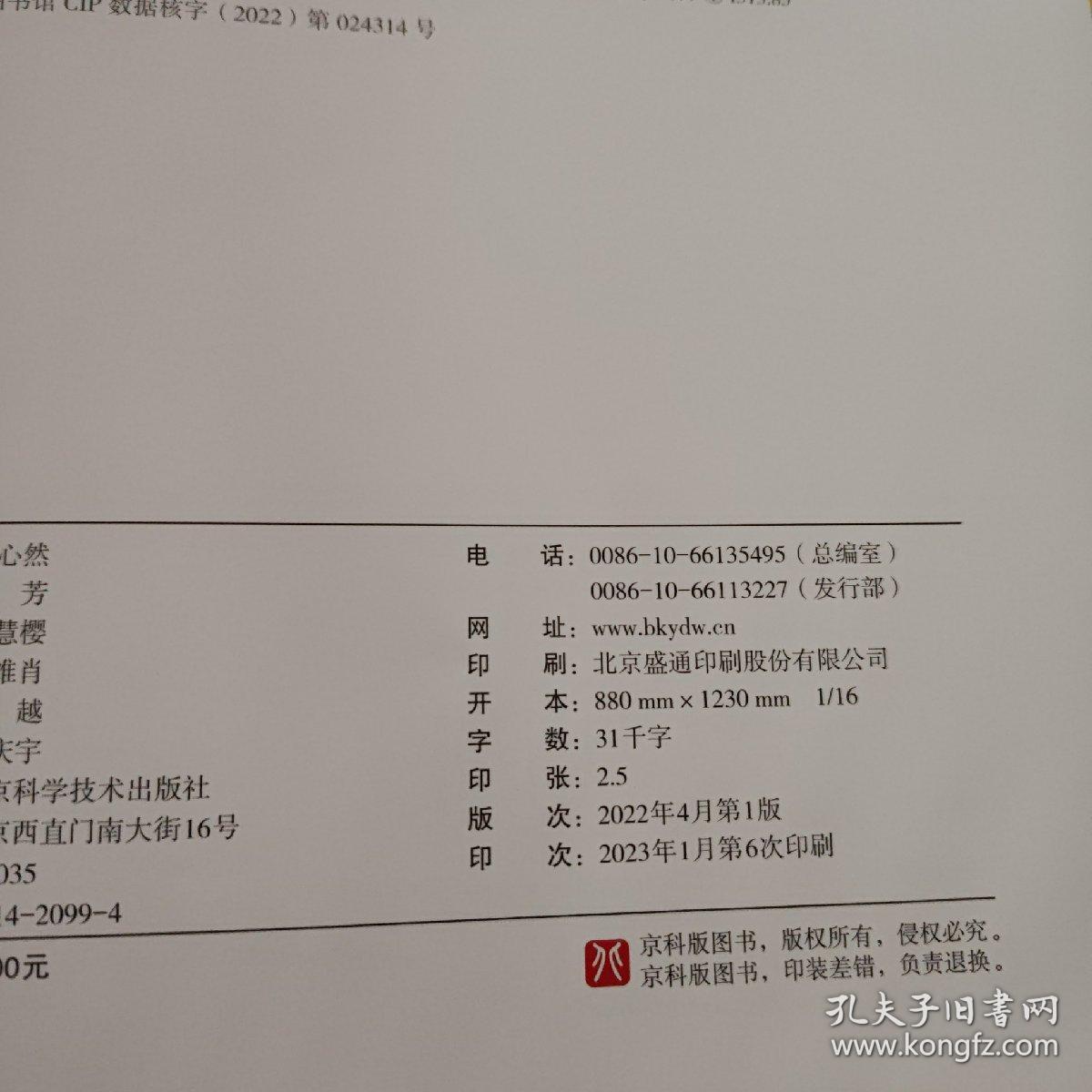 森林里的意外访客